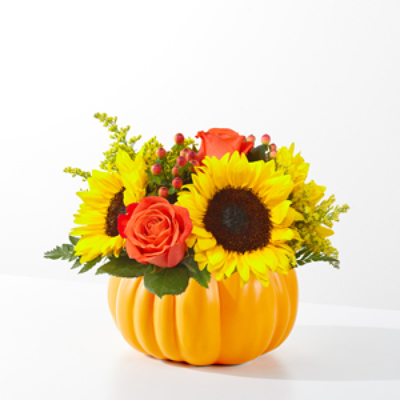 Pick of the Patch Pick of the Patch